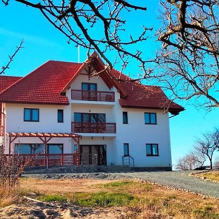 Casa Comilor Bed & Breakfast Surdesti  Exterior photo