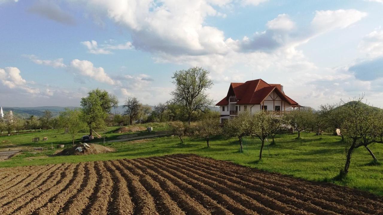Casa Comilor Bed & Breakfast Surdesti  Exterior photo